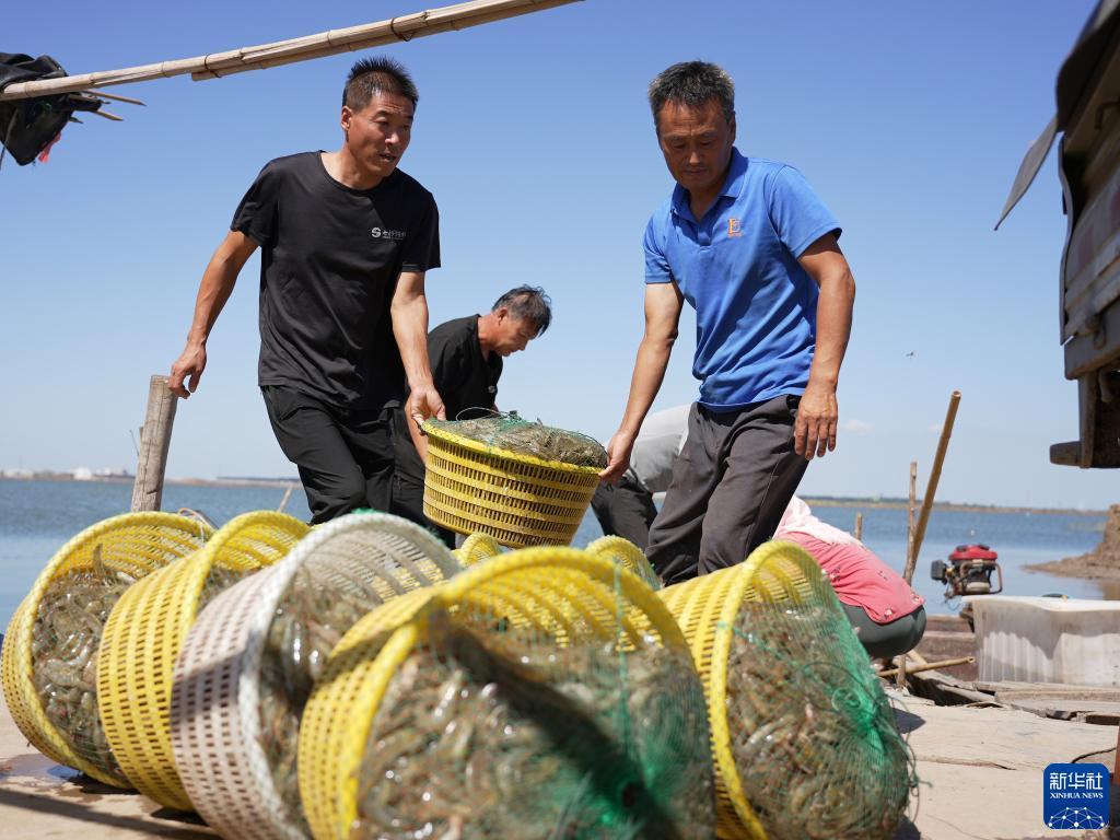 斗牛下载送金币